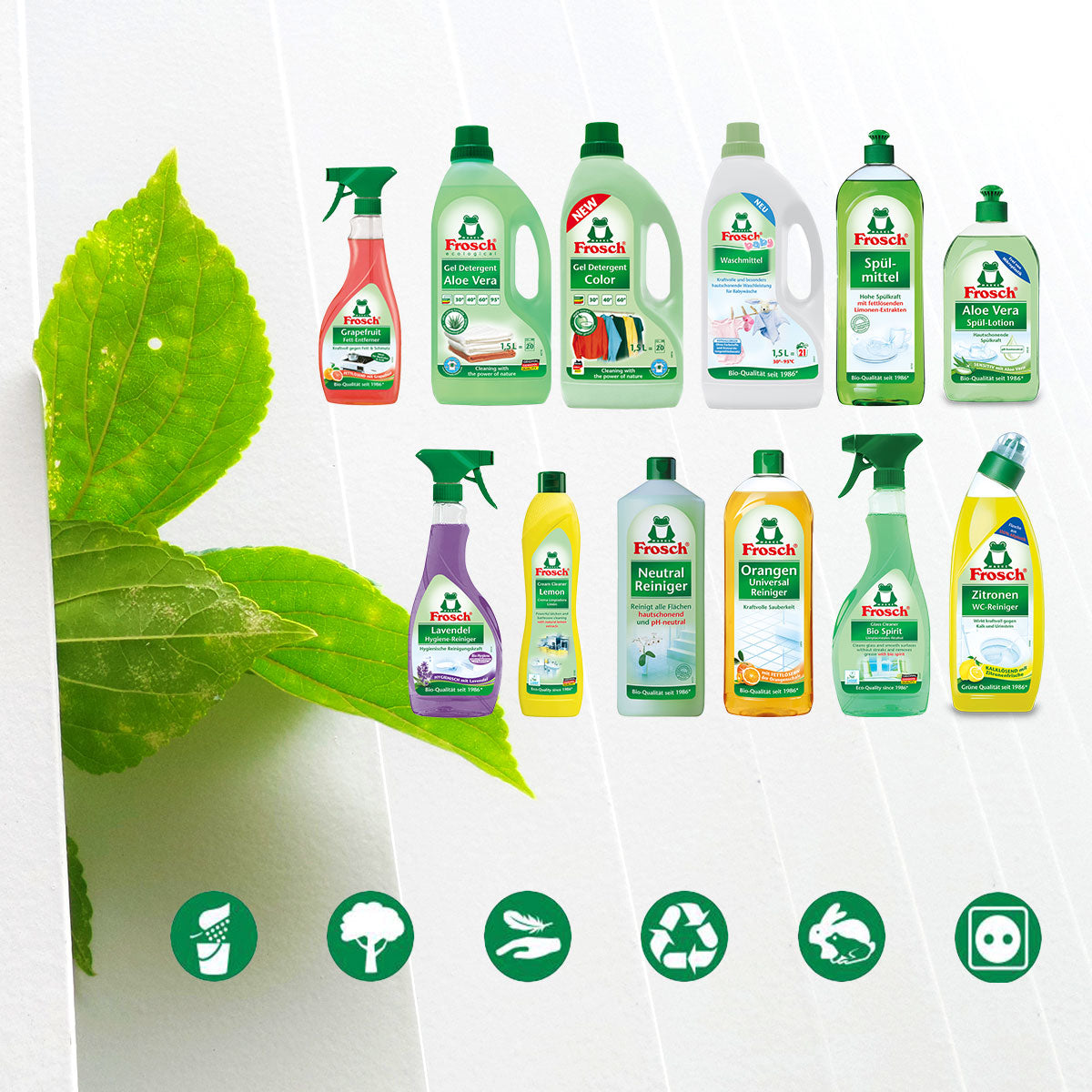 Ecológicos y Naturales