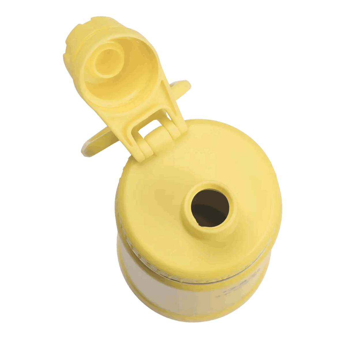 Botella térmica con tapa Antigoteo Takeya Canary 530 ml - producto de origen 🇯🇵 Japonés