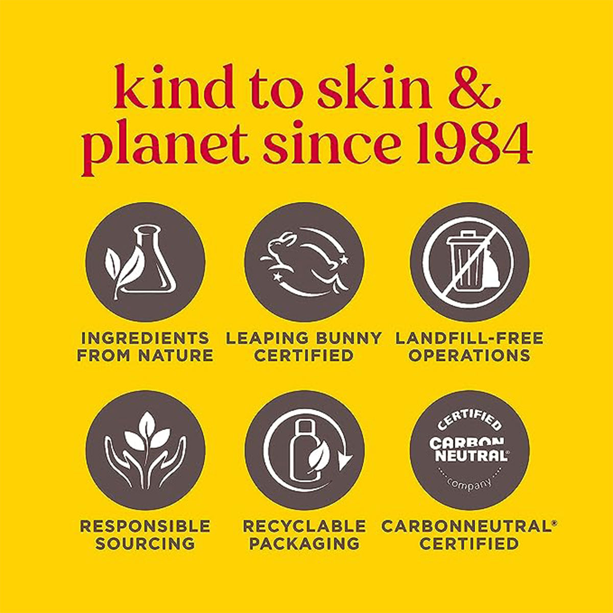 Pack 2x Bálsamo labial Blister Toronja Rosada (Pink Grapefruit) Burt’s Bees 4 gr - 🐝🍃 producto 100% natural