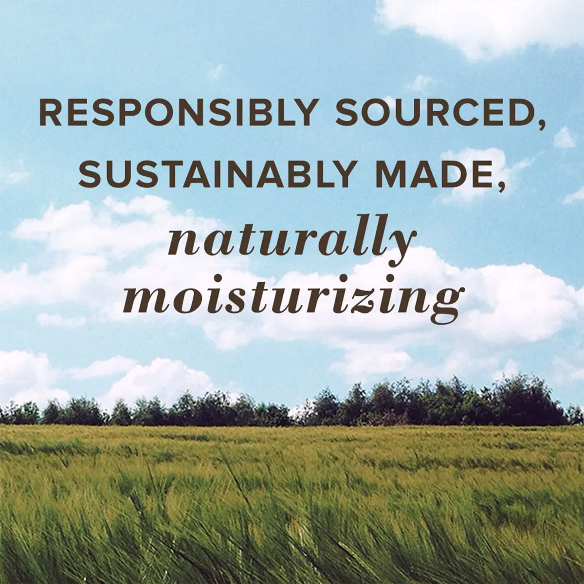 Bálsamo labial Blister Coconut & Pear Burt’s Bees 4 gr - 🐝🍃 producto 100% natural