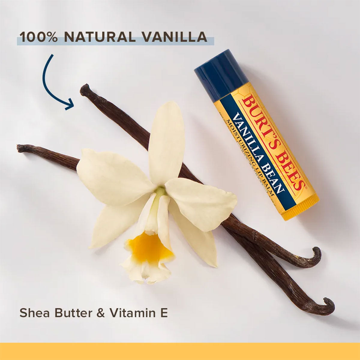 Pack 2x Bálsamo labial Blister Wild Cherry + Vanilla Bean Burt’s Bees 4 gr - 🐝🍃 producto 100% natural