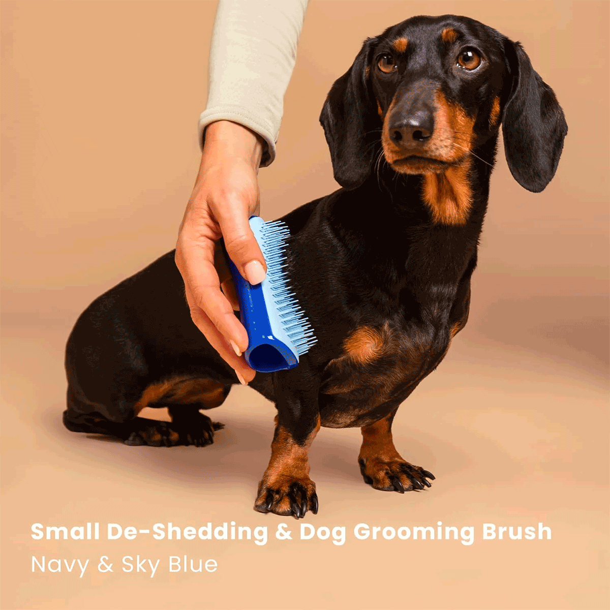 Cepillo Pelaje Perros Razas Pequeñas Azul Celeste Pet Teezer (1 unidad)