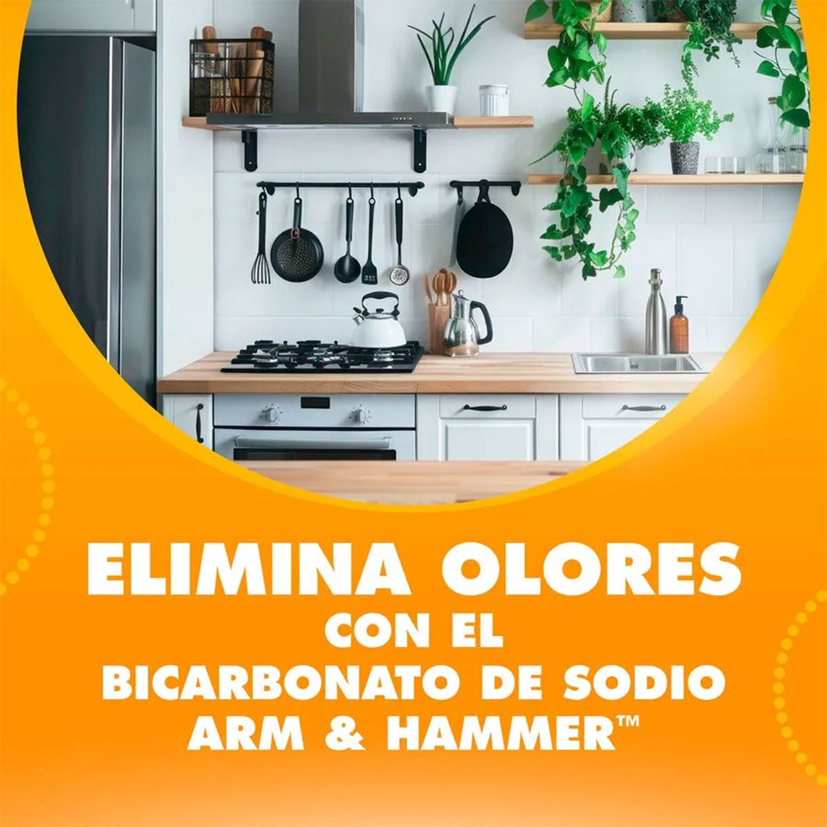 Caja de bicarbonato de sodio Arm & Hammer 454 gr