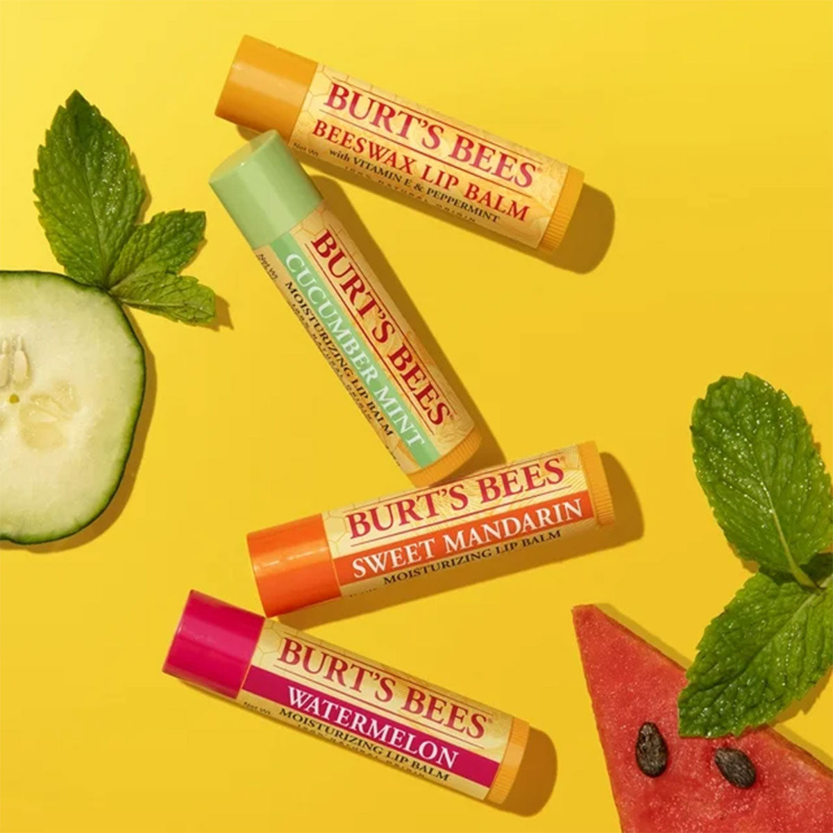 Pack 4x Bálsamo labial Blister Freshly Picked Burt’s Bees 4 gr - 🐝🍃 producto 100% natural